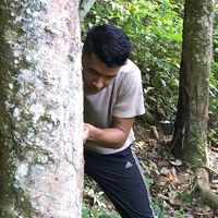 matt_rehan