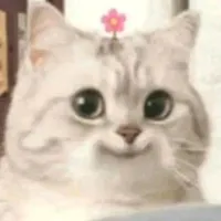 original sound - i_love_cat.55