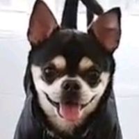 오리지널 사운드 - 보금