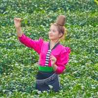 trangem091123