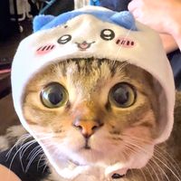 _0omochi4