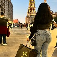 fersita.xbf