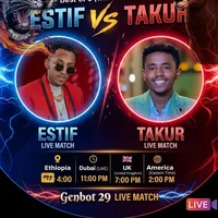 Estiff4
