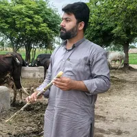 original sound - shehzadkhanblouch
