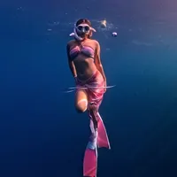 original sound - bloomingsunflower001