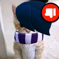qester_ed