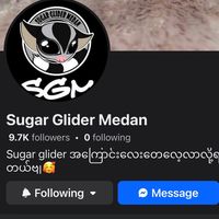 original sound - Ordinary_sugar