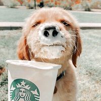 _a_e_s_t_h_e_t_i_c_s.c