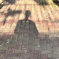 suara asli - diBalik_kamera_