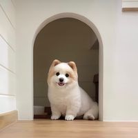 pukkard.pom