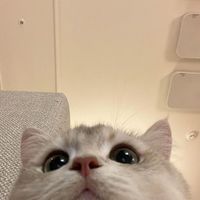 jinxiin_