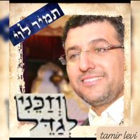 tamirltamir