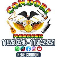 renecondori436