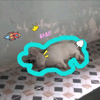 vanny87