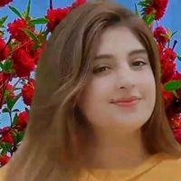 mahnoor0702