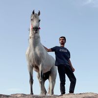 الصوت الأصلي