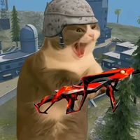 viqkimtz