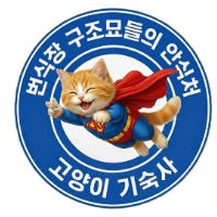 cats_dorm