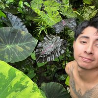 albertplanta2