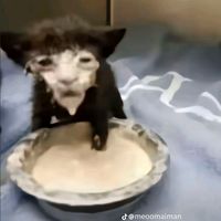 nhạc nền - Thuykieu🧿