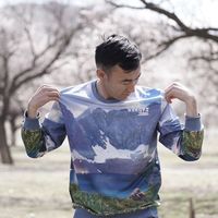 оригинальный звук