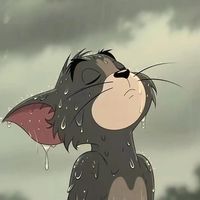 bungaacempakaaaa