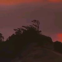 manularn4