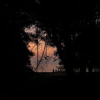 dii_192006