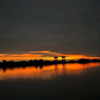 barish20170101