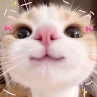 suara asli - Jualan ikan mas
