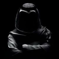 sayefahmed313