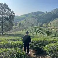 original sound - nguyenductruong2408