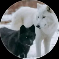 original sound - munafiqlock0