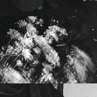 original sound - fbyndrrr_