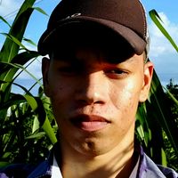 yankbrito2