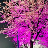 오리지널 사운드 - 🌸hero온기💓인생찬가🌿임영웅🌸추암한섬대진💓