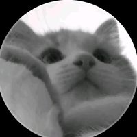 djewithasmile