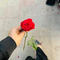 sawda.hossain3