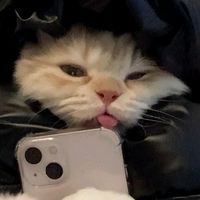 suara asli - yaa