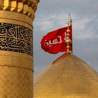 ifatma313
