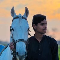 ali_bajwa72