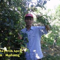 suara asli - Suke Dhana