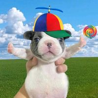 only.bettchi