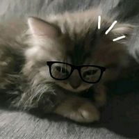 za_kii7