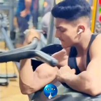fazi_455