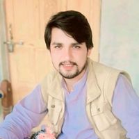 malikansarpahore
