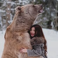 bonabonus