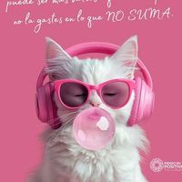 m.sol.m.g.99