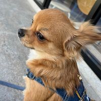aru_0914_23