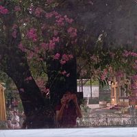 original sound - tty🍀